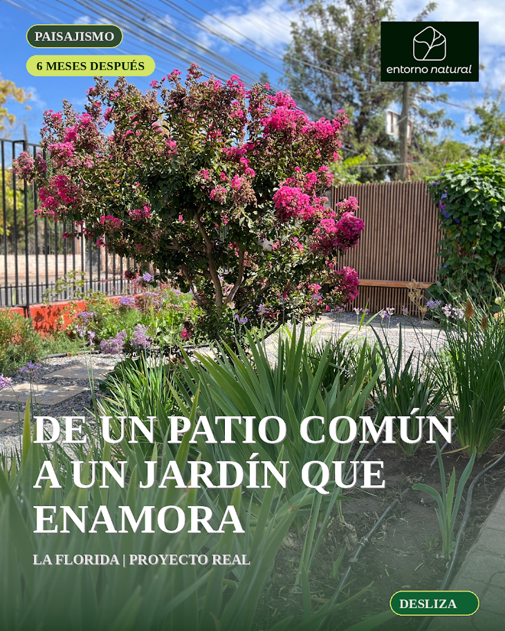 Paisajismo Sustentable para Jardines y Áreas Verdes