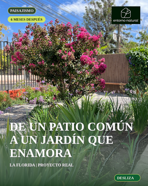 Paisajismo Sustentable para Jardines y Áreas Verdes