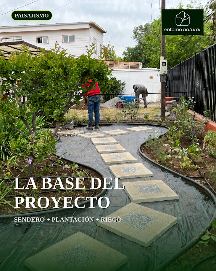 Paisajismo Sustentable para Jardines y Áreas Verdes