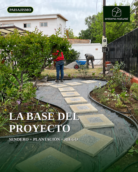 Paisajismo Sustentable para Jardines y Áreas Verdes
