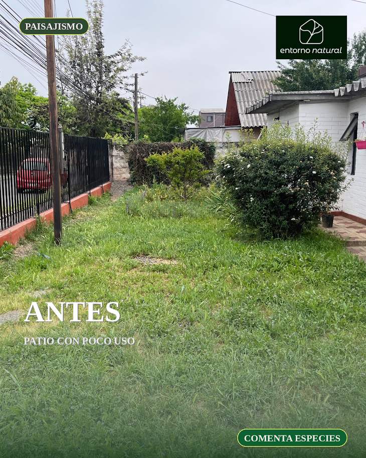 Paisajismo Sustentable para Jardines y Áreas Verdes