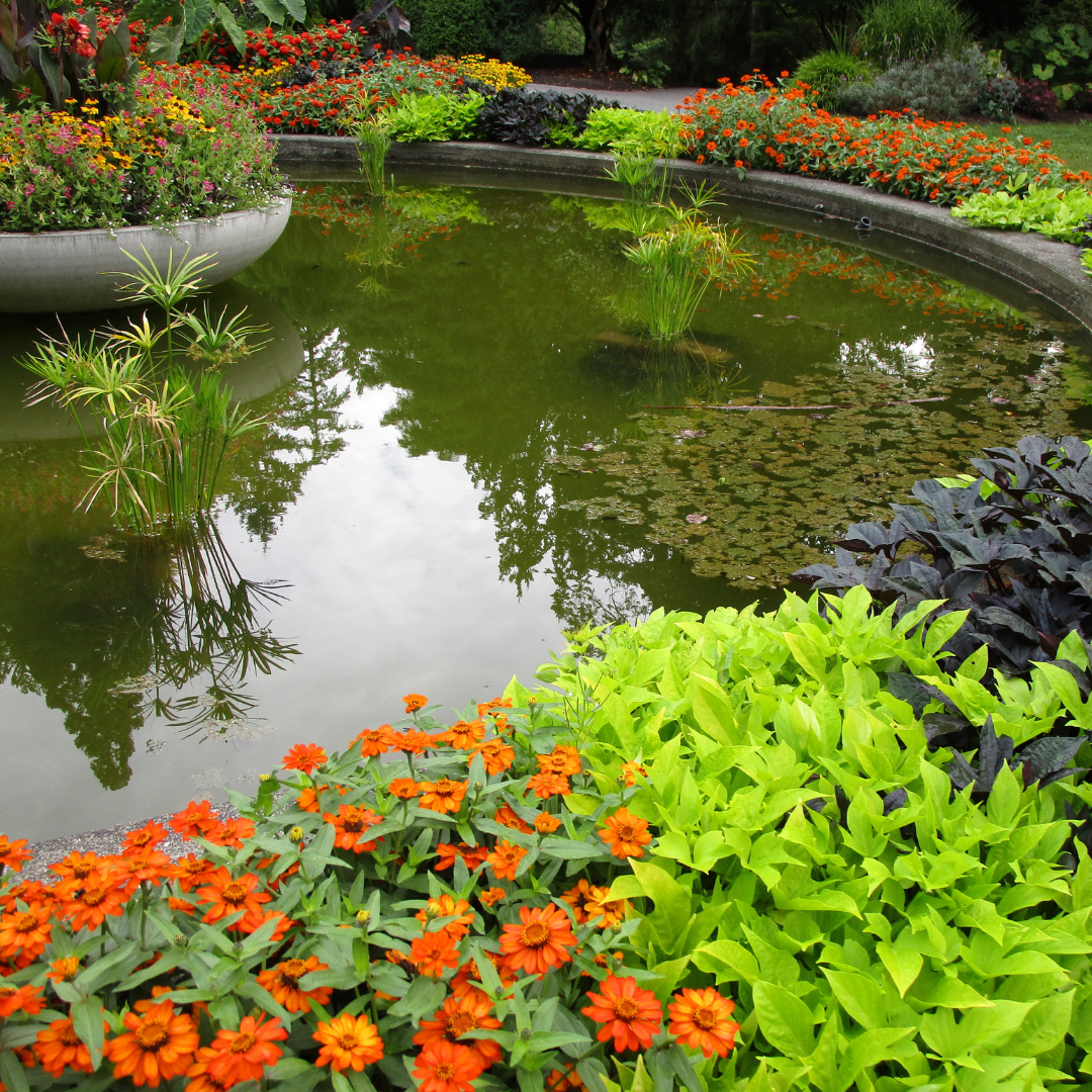 Diseño y construcción de jardines