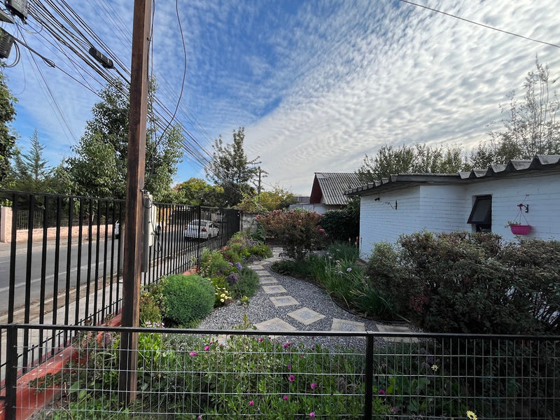Paisajismo Sustentable para Jardines y Áreas Verdes