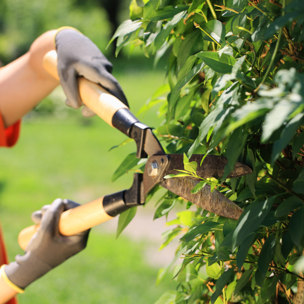 Planes de mantención